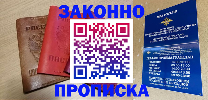 временная регистрация собственник в Электростали